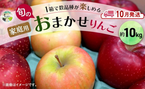 【10月発送】 家庭用 旬のりんご 品種おまかせ 約 10kg 2品種～4品種 りんご リンゴ 林檎 アップル おまかせ ランダム 旬 青森県産 青森県 西目屋村 2228915 - 青森県西目屋村