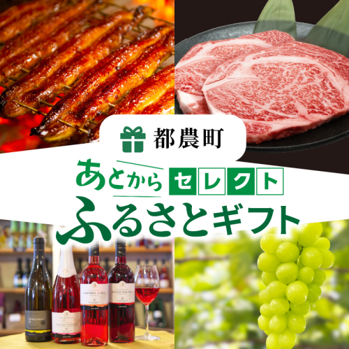 ≪期限1年間≫あとからセレクト 300万円コース【ふるさとギフト】 あとから選べる カタログ ギフト 鰻 肉 ワイン 都農町_T998-032 2229186 - 宮崎県都農町