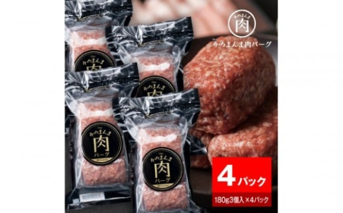 【The Oniku】そのまんま肉バーグ4パックセット（180g×3個入り×4パック）【配送不可：離島】 2229230 - 静岡県静岡市