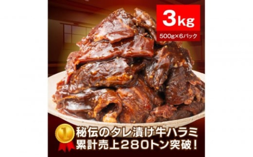 秘伝のタレ漬け牛ハラミ 3kg（500g×6パック）【配送不可：離島】 2229257 - 静岡県静岡市