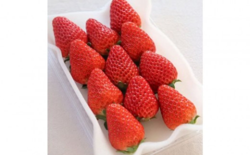 Sランク★静岡県産いちご 紅ほっぺ250ｇ×2パック(1パック約250ｇ 8～14粒）【北海道・沖縄・離島 配送不可】 2229297 - 静岡県静岡市