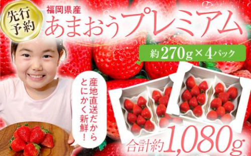 【先行予約/2026年】福岡県産あまおう 約270ｇ×4パック《2026年3～4月発送》 CL002 2229342 - 福岡県大木町