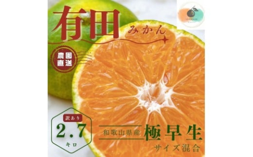 【ふるさと納税】有田みかん 極早生 2.7kg（箱込み3kg） 訳あり M～２Lサイズ 混合 【2025年10月下旬～11月頃発送】 柑橘 フルーツ みかん 産地直送 お取り寄せ 送料無料 2229447 - 和歌山県有田川町