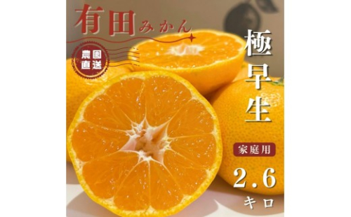 【ふるさと納税】有田みかん 極早生 2.6kg（箱込み3kg）家庭用 S～Lサイズ おまかせ【2026年11月発送】柑橘 フルーツ みかん 産地直送 お取り寄せ 送料無料 2229449 - 和歌山県有田川町