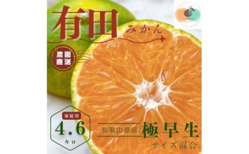 【ふるさと納税】有田みかん 極早生 4.6kg（箱込み5kg） 家庭用 S～２Lサイズ 混合 【2025年10月下旬～11月頃発送】 柑橘 フルーツみかん 産地直送 お取り寄せ 送料無料 2229450 - 和歌山県有田川町