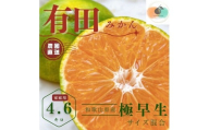 【ふるさと納税】【先行予約】有田みかん 極早生 4.6kg（箱込み5kg） 家庭用 S～２Lサイズ 混合 【2025年10月下旬～11月頃発送】 柑橘 フルーツみかん 産地直送 お取り寄せ 送料無料