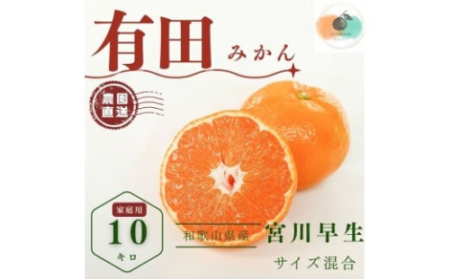 【ふるさと納税】【先行予約】有田みかん 早生 温州みかん 10kg 家庭用 S～２Lサイズ 混合 柑橘 フルーツ みかん 産地直送 お取り寄せ 送料無料 温州ミカン 2229510 - 和歌山県有田川町