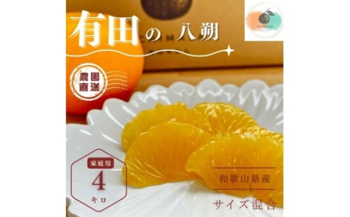 【ふるさと納税】【先行予約】 八朔 4kg 家庭用 サイズ混合 柑橘 フルーツ はっさく 産地直送 お取り寄せ 送料無料 2229512 - 和歌山県有田川町