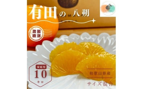 【ふるさと納税】【先行予約】 八朔 10kg 家庭用 サイズ混合 柑橘 フルーツ はっさく 産地直送 お取り寄せ 送料無料 2229513 - 和歌山県有田川町