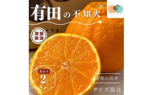 【ふるさと納税】【先行予約】 不知火 2kg 訳あり サイズ混合 柑橘 フルーツ  産地直送 お取り寄せ 送料無料 2229514 - 和歌山県有田川町