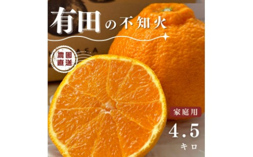 【ふるさと納税】【先行予約】 不知火 4.5kg（箱込み5kg） 家庭用 サイズ混合 柑橘 フルーツ  産地直送 お取り寄せ 送料無料 2229515 - 和歌山県有田川町