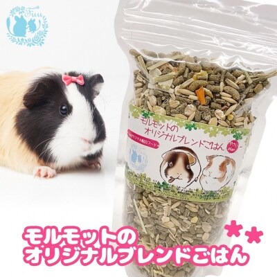 fuu うまうまセレクション モルモットのごはん（5ｋg）［145S93］ 2229529 - 愛知県小牧市