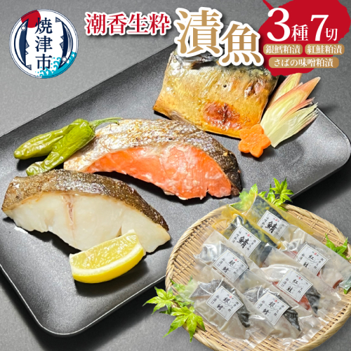 a10-954　潮香生粋 漬魚 三種 詰合せ 銀鱈 紅鮭 さば 2229566 - 静岡県焼津市