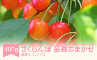先行予約 さくらんぼ 品種おまかせ 赤秀 L-2Lサイズ 400g バラ詰 2026年産 令和8年産 山形県産 mm-saoax400 ※沖縄・離島への配送不可
