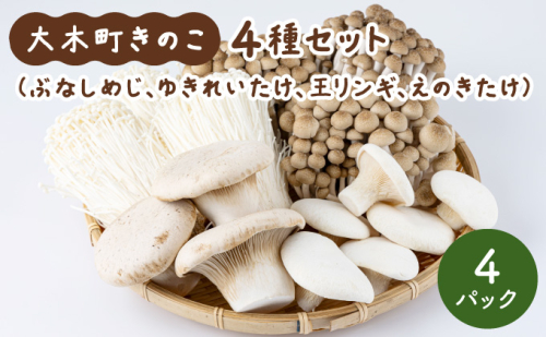 大木町のきのこセット(ぶなしめじ・ゆきれいたけ・王リンギ・えのきたけ各1パック) 2229821 - 福岡県大木町