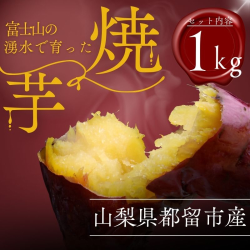 富士山の湧水で育った焼きいも【焼き芋 焼いも いも イモ お芋 サツマイモ 山梨県産 焼き芋 やきいも おいも 美味しい 2か月熟成 格別 富士山 湧水 極上 スイーツ ほっくり ほくほく おやつ 特別感 自分 ごほうび 記念 贈り物 贈答 格別】 2229896 - 山梨県都留市