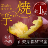 [先行予約]富士山の湧水で育った焼きいも[焼き芋 焼いも いも イモ お芋 サツマイモ 山梨県産 焼き芋 やきいも おいも 美味しい 2か月熟成 格別 富士山 湧水 極上 スイーツ ほっくり ほくほく おやつ 特別感 自分 ごほうび 記念 贈り物 贈答 格別]