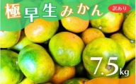 【訳あり】こだわりの極早生みかん 約7.5kg 【2025年10月上旬より順次発送予定（お届け日指定不可）】 有機質肥料100% サイズ混合  有田産【CE-nuk166】