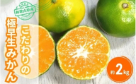 【ご家庭用】 【農家直送】こだわりの極早生みかん 約2kg 【数量限定】 有機質肥料100% サイズ混合 ※2025年9月下旬より順次発送予定（お届け日指定不可） 有田産【CE-nuk170】