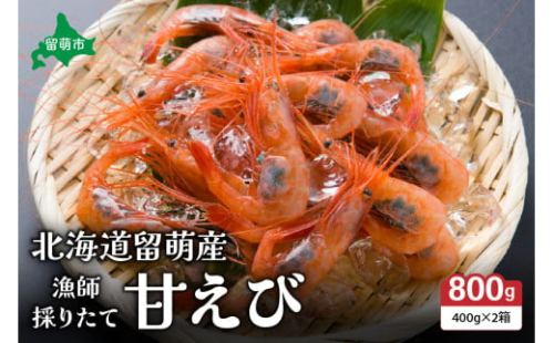 北海道留萌産　漁師採りたて甘えび400g×2箱 2230030 - 北海道留萌市
