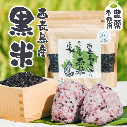 大浜農園の黒米8個セット (農薬不使用)  2230091 - 沖縄県竹富町