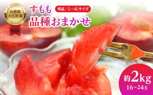 山形県大江町産 品種おまかせ すもも【道の駅おおえ】 004-012 2230166 - 山形県大江町