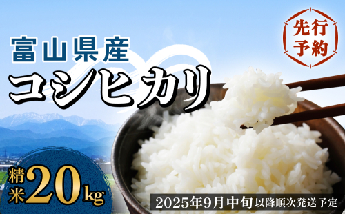 ＜先行予約＞富山県産 コシヒカリ 20kg 精米 ＜2025年9月中旬以降順次発送予定＞ 富山県 米 氷見市 コシヒカリ 2230257 - 富山県氷見市