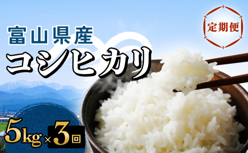 【3回定期便】富山県産 コシヒカリ 5kg  2230259 - 富山県氷見市