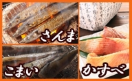 A-70002 【北海道根室産】焼き魚詰め合わせセット