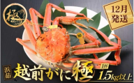 ≪浜茹で≫越前がに 極（生で1.5kg以上） × 1杯【雄 ズワイガニ 越前ガニ 姿 ボイル 冷蔵 かに カニ 蟹 福井県】【12月発送分】希望日指定可 備考欄にメールアドレスをご記入ください [e43-x013_12]