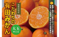 【農家直送】有田みかん 約10kg  大玉3L以上 有機質肥料100% 【2025年12月初旬～12月末に順次発送(お届け日指定不可)】 / みかん 大玉 蜜柑 有田 柑橘 フルーツ 果物 くだもの 12月【CE-nuk139D】