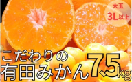【農家直送】有田みかん 約7.5kg 大玉3L以上 有機質肥料100% 【2025年12月初旬～1月中旬に順次発送(お届け日指定不可)】 / みかん ミカン 温州みかん 柑橘 有田 和歌山 産地直送【CE-nuk158B】