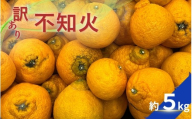 [訳あり]不知火 約5kg [2026年2月中旬〜4月中旬ごろ順次発送予定(お届け日指定不可)] 不知火 みかん ミカン 柑橘 フルーツ 果物 くだもの 人気 旬 産地直送[CE-nuk177]