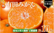 【ご家庭用】 農家直送 こだわりの 完熟 有田みかん 約10kg＋250g(傷み補償分) 【11月発送】有機質肥料100% 有田みかん みかん ミカン 蜜柑 柑橘 果物 フルーツ 甘い 温州みかん 先行予約【CE-nuk101-11】