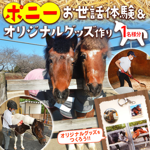 ポニーお世話体験＆オリジナルグッズ作り 1名分 | ネーブルパーク ポニー 厩務体験 体験 公園 子供 子ども 休日 夏休み 冬休み GW 贈り物 プレゼント 茨城県 古河市 送料無料 着日指定可 _DP96 2230553 - 茨城県古河市