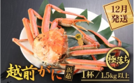 ≪浜茹で≫越前がに 極落ち（生で1.5kg以上） × 1杯【雄 ズワイガニ 越前ガニ 姿 ボイル 冷蔵 かに カニ 蟹 福井県】【12月発送分】希望日指定可 備考欄にメールアドレスをご記入ください [e43-x014_12]