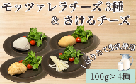 チーズ モッツァレラ 3種＋ チギチー チーズ 4種セット 極生 魚醤漬け 味噌漬け チギチー モッツァレラチーズ 裂けるチーズ ちーず ナチュラルチーズ cheese ビール おつまみ おやつ 人気 お取り寄せ 贈り物 贈答 Aprotodo’S株式会社 RRAAP BREWERY 神奈川 湘南 藤沢