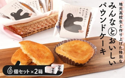 みんなとおいしいパウンドケーキ 6個入り×2　グルテンフリー 小麦粉不使用 焼き菓子 パウンドケーキ 2231097 - 宮城県角田市