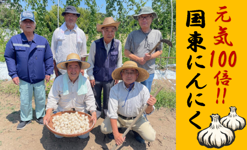 毎日食べて元気モリモリ！国東産乾燥にんにく0.8kg/こだわり減農薬栽培_2610R 2231110 - 大分県国東市