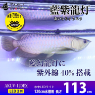 スリム&高耐久!金龍を美しく、UV-Aチップ配合の水中LED|AK-120UV-EX［172C15］