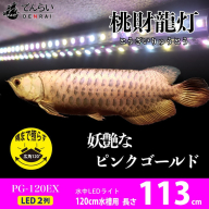 金龍の鱗を美しく照らす!ピンクゴールドの水中アロワナライト|PG120-EX［172C16］