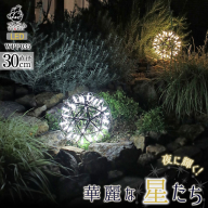 屋外対応の輝くLEDシャンデリア|WPP035［172C07］