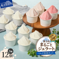 富士山まるごとジェラート ミルク特別セット