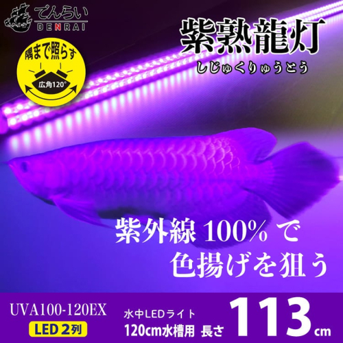 紫外線100%LEDで紅龍・金龍の色彩を引出す水中ライト|UVA100-120EX［172C22］ 2231174 - 愛知県小牧市