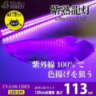 紫外線100%LEDで紅龍・金龍の色彩を引出す水中ライト|UVA100-120EX［172C22］