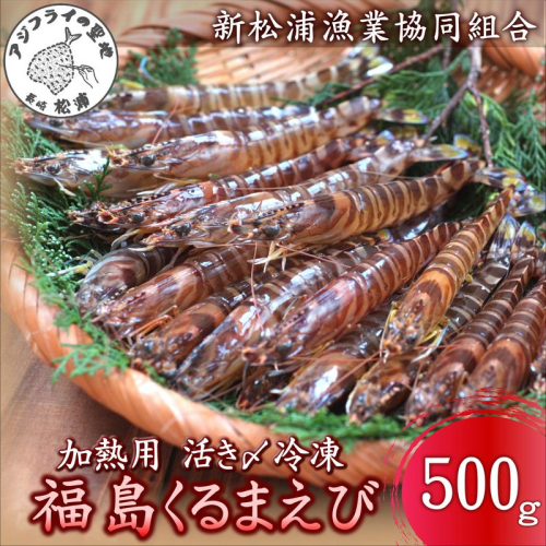 加熱用 活き〆冷凍福島くるまえび500g( 車エビ クルマエビ くるまえび えび エビ 海老 加熱用 )【B1-192】 2231213 - 長崎県松浦市