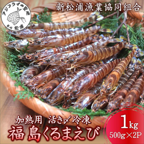 加熱用 活き〆冷凍福島くるまえび1kg(500g×2パック)( 車エビ クルマエビ くるまえび えび エビ 海老 加熱用 )【C0-098】 2231214 - 長崎県松浦市
