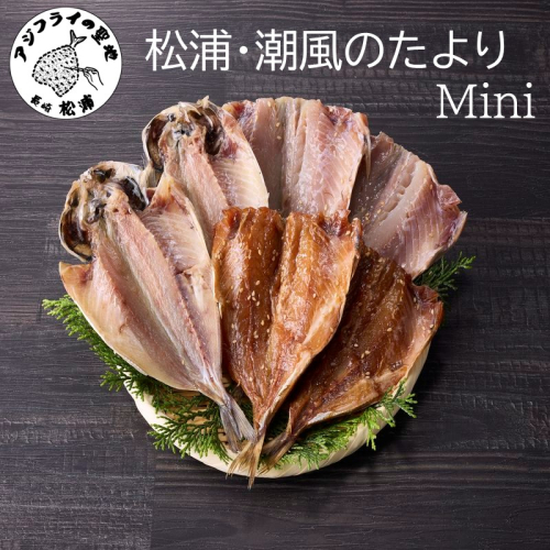 松浦・潮風のたより Ｍｉｎｉ( 松浦市 アジ 干物 アジ開き アジみりん アジ桜干し 詰め合わせ )【A5-016】 2231347 - 長崎県松浦市