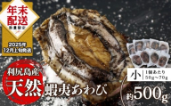 【2025年12月上旬発送】利尻島産 天然蝦夷あわび 500g＜小＞（50g～70gサイズ）＜利尻漁業協同組合＞