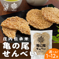 山形庄内かめこめプロジェクト 亀の尾せんべい 選べる内容量 80g×1袋 / 3袋 / 6袋 / 12袋 つぶつぶ食感 煎餅 米菓 おやつ お菓子